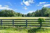 5843 Bending Chestnut Rd - Photo 11