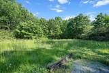 5843 Bending Chestnut Rd - Photo 13