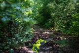 5843 Bending Chestnut Rd - Photo 17
