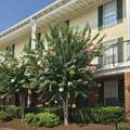 900 Mountain Creek Rd - Photo 1
