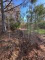 0 Sawyers Mill Rd - Photo 12