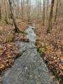 3960 Old Hohenwald Rd - Photo 2