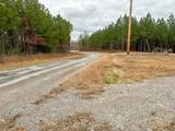 3960 Old Hohenwald Rd - Photo 12