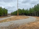 3960 Old Hohenwald Rd - Photo 13