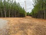 3960 Old Hohenwald Rd - Photo 14