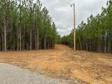 3960 Old Hohenwald Rd - Photo 15