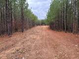 3960 Old Hohenwald Rd - Photo 16