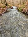 3960 Old Hohenwald Rd - Photo 3