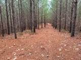 3960 Old Hohenwald Rd - Photo 30