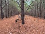 3960 Old Hohenwald Rd - Photo 31