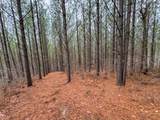 3960 Old Hohenwald Rd - Photo 33