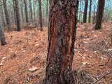 3960 Old Hohenwald Rd - Photo 34