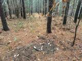 3960 Old Hohenwald Rd - Photo 35