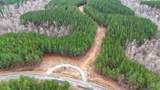 3960 Old Hohenwald Rd - Photo 5