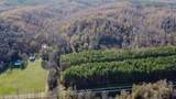 0 Lick Creek Road - Photo 18