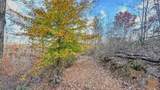 0 Lick Creek Road - Photo 3