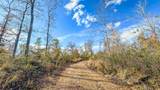 0 Lick Creek Road - Photo 26