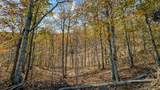 0 Lick Creek Road - Photo 32