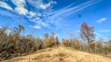 0 Lick Creek Road - Photo 34