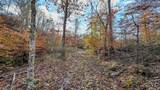0 Lick Creek Road - Photo 36