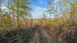 0 Lick Creek Road - Photo 40