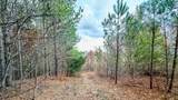 0 Lick Creek Road - Photo 8