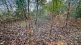0 Lick Creek Road - Photo 9