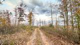 0 Lick Creek Road - Photo 10