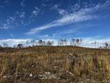 0 Northcutts Cove Road - Photo 12