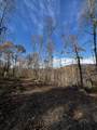 0 Northcutts Cove Road - Photo 19