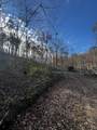 0 Northcutts Cove Road - Photo 20