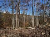 0 Northcutts Cove Road - Photo 21