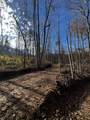 0 Northcutts Cove Road - Photo 23