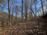 0 Northcutts Cove Road - Photo 25