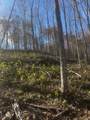 0 Northcutts Cove Road - Photo 28