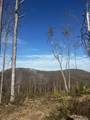 0 Northcutts Cove Road - Photo 6