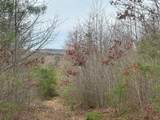 523 Browns Hollow Road - Photo 2