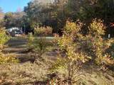 168 Three Springs Rd - Photo 56