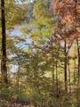 0 Hurricane Creek Road - Photo 3