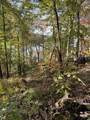 0 Hurricane Creek Road - Photo 5