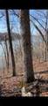 0 Hurricane Creek Road - Photo 9