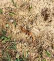250 Justin Ln - Photo 19
