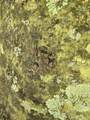 250 Justin Ln - Photo 20