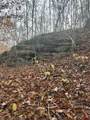 0 Burkesville Hwy - Photo 5