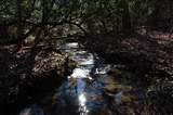 4 Henson Gap Road - Photo 16