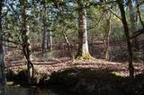 4 Henson Gap Road - Photo 17