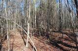 4 Henson Gap Road - Photo 5