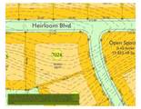 8601 Belladonna Dr - Photo 1