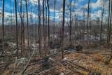 0 Hutchings Bend Rd - Photo 2