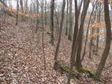 0 Stonewall Jackson Drive - Photo 14